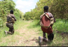 Ciidamada xoogga howlgal lagu dilay xubna katirsan argagixisada ka sameeyay degaanka Basra iyo deegaano kale