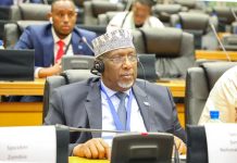 Shirweynihii 11-aad ee guddoomiyeyaasha Baarlamaanada Afrika oo lagu soo gaba-gabeeyay dalka Koonfur Afrika