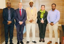 Wasiir-dowlaha wasaaradda Ganacsiga oo Xafiiskiisa ku qaabilay Safiirka Swedan