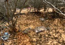 Ciidanka Dowladda oo Hawlgal qorshaysan ku burburiyey Maxkamad Beenaad Argagixisadu ku lahayd Gandarshe ilaa iyo Number-50.