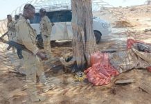 Howlgal ka dhan ah Argagixisada Alshabaab iyo Daacish oo ka socda degaano dhaca Buuraleyda Calmadow ee gobolka Bari.