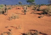 Ciidamada xoogga dalka oo 35-ka tirsan argagixisada Al-shabaab ku dilay gobolka Hiiraan