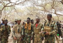 Ciidanka xoogga dalka oo xaqiijiyay in 10-katirsan argagixisada lagu dilay degaanka Sino dhaqo