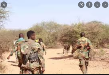 Shan iyo toban deegaan oo Argagixisada Alshabaab lagala wareegay