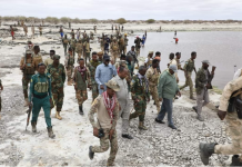 Galgaduud : Ciidanka Xoogga oo waxyeello ba’an u geystay kooxda Al-Shabaab