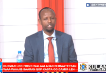 Wasiirka Caafimaadka XFS oo ka hadlay qorshaha dowladda ee dhinaca caafimaadka