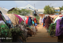 Barakacayaal cusub oo soo gaaray duleedka Muqdisho