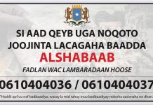 Dowladda Soomaaliya oo sameysay hab lagu la dagaalamayo lacagaha baada ah ee Argagixisada