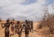 Ciidanka xoogga dalka oo howlgallo ka dhan ah argagixisada kawada degaanno ka tirsan gobolka Hiiraan