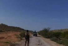 Howlgal lagu dilay xubno katirsan Argagixisada Al-shabaab oo ka dhacay Goboka Hiiraan