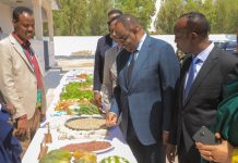 Madaxweynaha Puntland oo daah furay Shirka Horrumarinta Beeraha