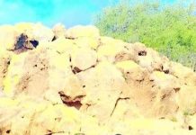 Howlgallo ka dhan ah argagixisada oo laga sameeyay degaannada Garasyaani iyo jiciboow ee gobolka Hiiraan