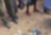 Ciidamada xoogga dalka oo dilay horjoogayaal ka tirsan argagixisada Al-shabaab