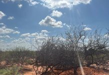 Ciidanka Xoogga oo Argagixisada kala wareegay deegaanno ka tirsan Gobolka Galgaduud