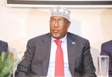 Guddoomiyaha Golaha Shacabka BJFS oo Kulan la qaatay Jaaliyada Soomaaliyed ee dalka Nethetland