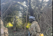 Ciidanka Dowladda oo tiro Al-Shabaab ah ku dilay deegaano ka mid ah Shabeelooyinka
