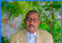 Madaxweynaha JFS oo magacaabay lataliyaha sare ee Arrimaha Dimuqraadiyeynta iyo dowlad wanaagga