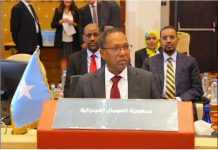 Wasiirka Maaliyadda XFS oo khudbad ka jeediyay fadhiga dalalka Carabta ee Algiers