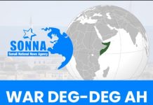Heya’adda Sirdoonka iyo Nabad Sugidda Qaranka NISA oo kaashanaysa Saaxiibadeeda Caalamiga oo hawlgal qorshaysan ku dilay hor-jooge ka tirsana Argagixisada Al-shabaab