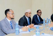 wasiirka qorshaynta XFS oo kulan la qaatay safiirka dalka Swedan u fadhiya Soomaliya