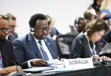 Ra’iisal wasaare ku-xigeenka dalka oo ka qeyb galay shirka isbedelka cimilada iyo sugnaanta cunnada