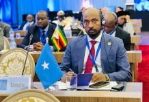 Guddoomiyaha Maxkamadda sare ee dalka oo ka qeyb galay shirka 6-aad ee Golaha Dastuuriga ee Garsoorka Africa