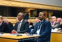 Soomaaliya oo saxiixday baaqa caalamiga ah ee xakamaynta hubka qarxa in lagu isticmaalo goobaha dadweynaha.