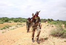 Ciidanka Xoogga oo hawlgal ku dilay laba horjooge oo ka tirsanaa Khawaariijta