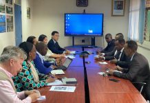 Wasiir ku-xigeenka Warfaafinta XFS oo kulan la qaatay Madaxa hey’adda UNESCO