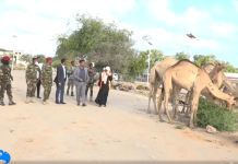 Bukaanada ku jira cisbitaalka Xoogga oo maanta la gaarsiiyay kaalmo xoolo ah