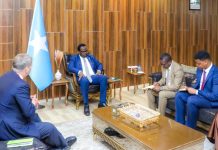 Ra’iisul wasaare ku-xigeenka XFS oo kulan la qaatay Safiirka Dowladda Denmark