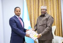 Guddoomiyaha golaha shacabka oo kulan sagootin ah la qaatay Danjiraha xilka baneynaya ee Itoobiya