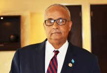 DF oo tallaabo hormar leh u qaaday ku biirista Ururka EAC