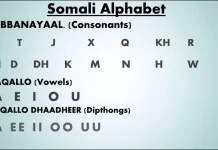 BARASHADA DHISMA-AFEEDKA (QEYBTII 6-AAD)