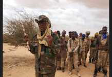 Ciidanka xoogga dalka oo 50 khawaarij ah ku dilay gobolka Mudug