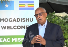 Cabdisalaan Hadliye oo ka hadlay ahmiyadda shirka Urur goboleedka AEC ee ka furmay muqdisho