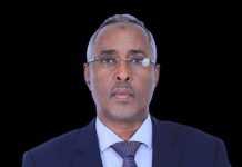 Wasiirka Arrimaha Dibadda Soomaaliya oo sheegay inay guulo waa weyn ka gaareen siyaasadda arrimaha dibadda