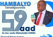 Wasiir Daa’uud “SONNA waxaa ay mudan tahay ammaan ballaaran, waxay sameysay horumar dhanka wax soo saarka ah”.