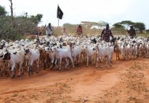 KHAWAARIJTA IYO SIFAADKOODA