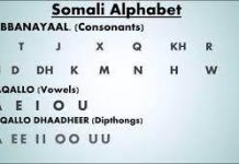 BARASHADA DHISMA-AFEEDKA (QEYBTII 3 -AAD)