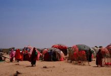 BARAKACAYAASHA DULEEDKA IYO DAAFAHA MUQDISHO