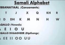 BARASHADA DHISMA-AFEEDKA.