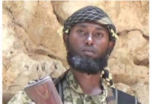 Ciidanka Puntland oo dilay madaxii hawlgallada Daacish ee Gobolka Bari