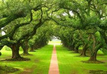 QEYBTII 3-AAD EE QORMADII BARASHADA DHIRTA