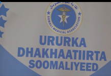 Dhaqaatiirta Soomaaliyeed oo Shaaciyay waqtiga la qabanayo dhismaha hoggaanka ururka