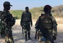 Ciidanka xoogga ayaa dilay 40 xubnood oo ka tirsanaa khawaariijta Al-shabaab