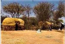 HIDDO, DHAQAN IYO ASAL RAAC