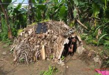 HAWEYNEY NINKEEDA KA XAREEYSAY ROOBKA IYADOON U QASDIN