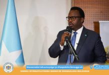 Ra’iisul wasaare ku xigeenka XFS oo soo xiray shirka ansixinta Istiraatiijiyadda Qaranka ee dhaqaalaha Bulluuga ah