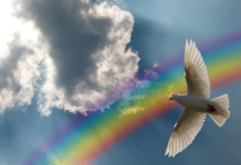 TOOBIYAHII NABADDA OO DIB LOO HELAY